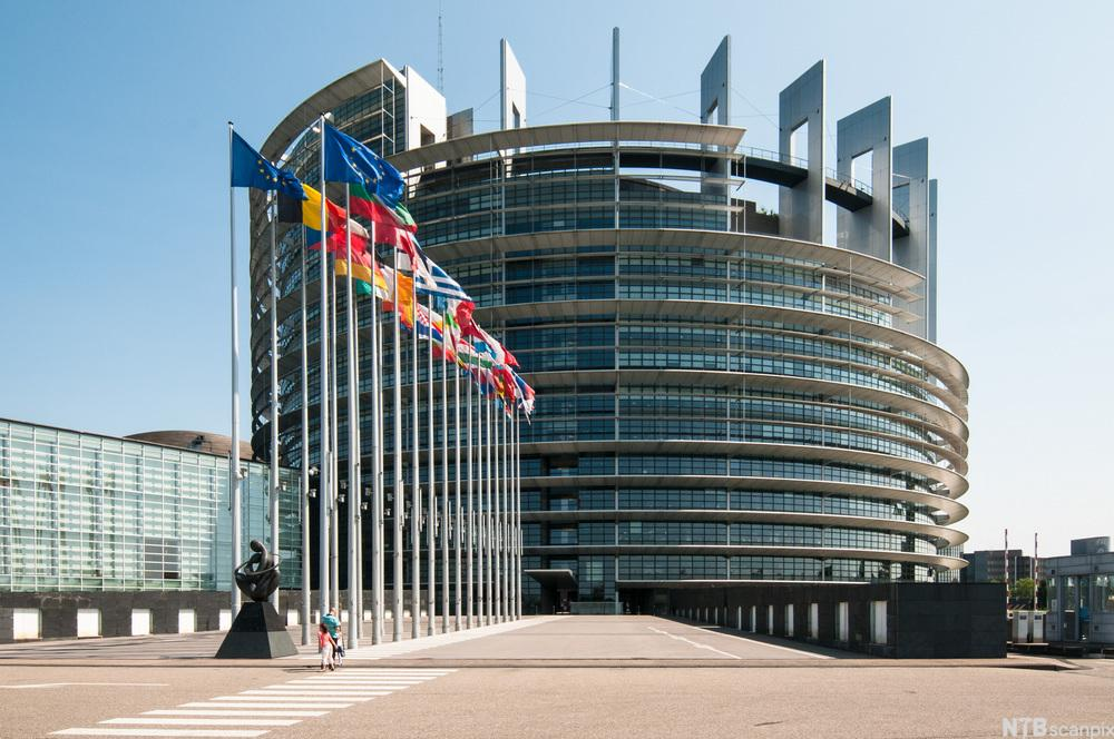 Europaparlamentets byggnad i Strasbourg med en rad nationsflaggor framför den rundade glasfasaden.