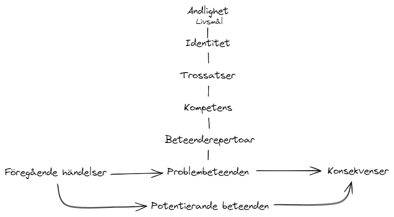 Beteendeanalys: föregående händelser leder till problembeteenden och konsekvenser. En alternativ väg går via potentiella beteenden. Ovanför beteendena finns beteenderepertoar, kompetens, trossatser, identitet och andlighet eller livsmål.