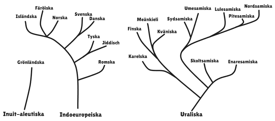 Språkträd över Norden. Språken fördelas mellan inuit–aleutiska, indoeuropeiska och uraliska språkfamiljer. Bland grenarna finns grönländska, de skandinaviska språken, finska och flera samiska språk.
