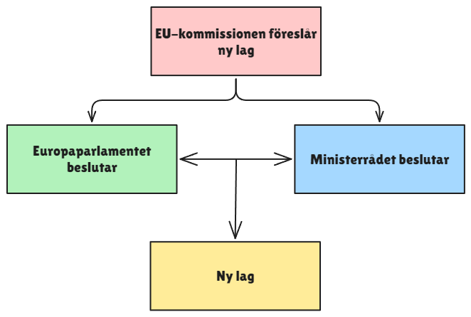 EU:s lagstiftning: EU-kommissionen föreslår en lag. Europaparlamentet och ministerrådet beslutar tillsammans, vilket leder till en ny lag.